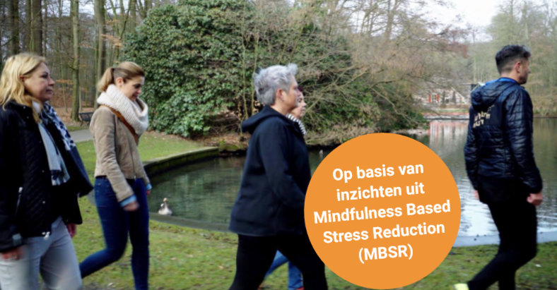 Mindful Walking voor jouw organisatie!