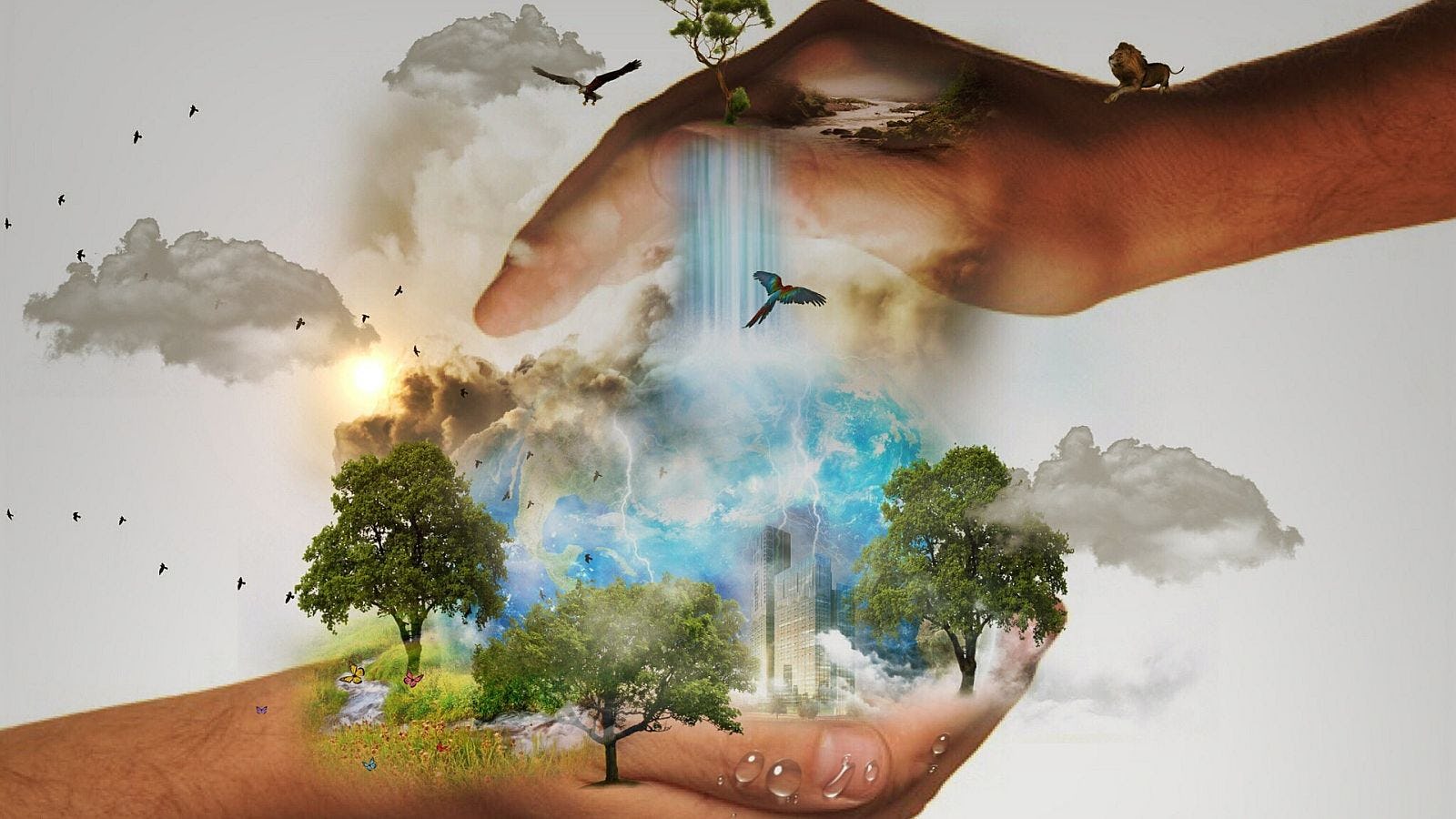 Hoe rapporteer je de CO2-uitstoot van je werknemer?
