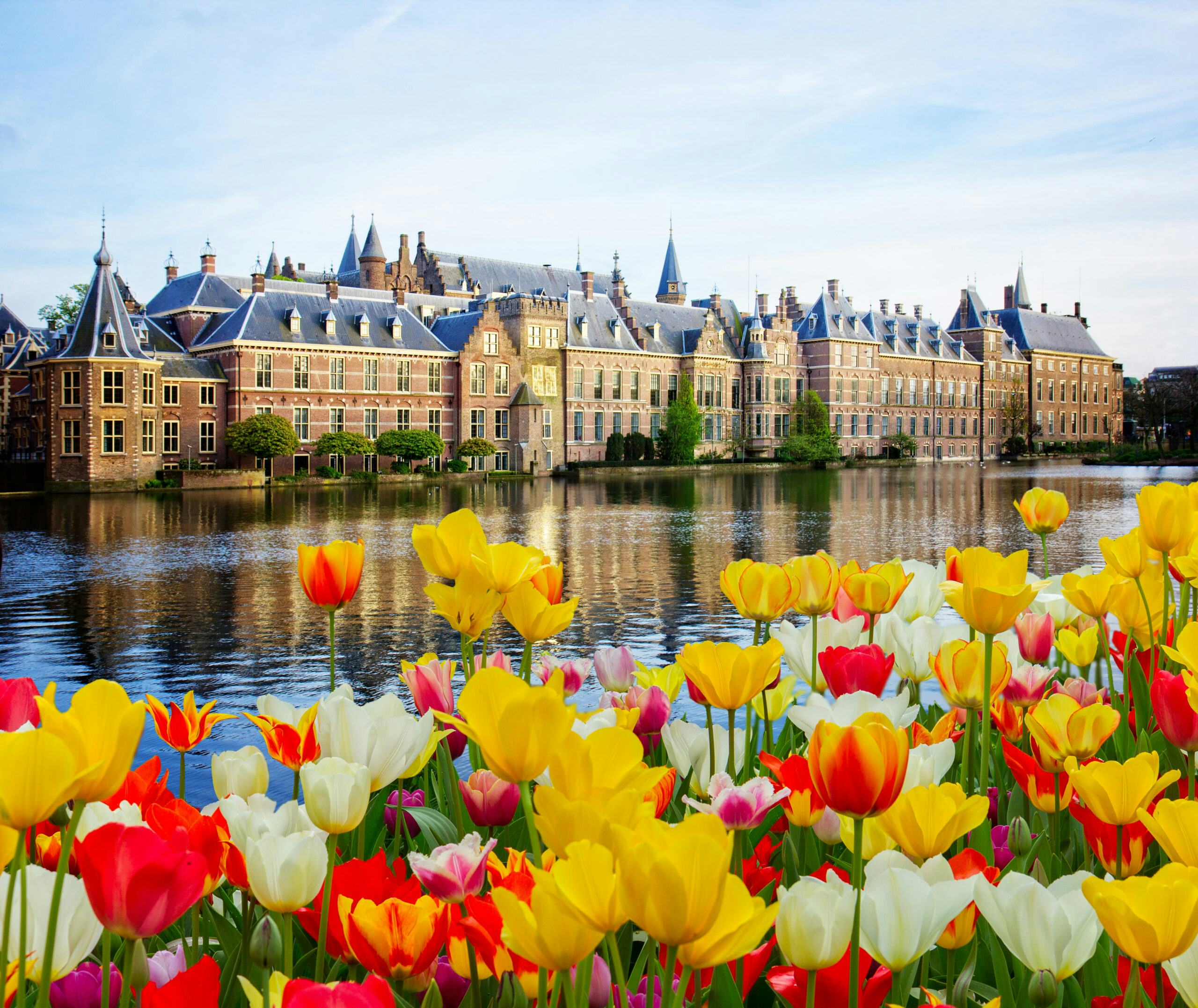 Het Binnenhof