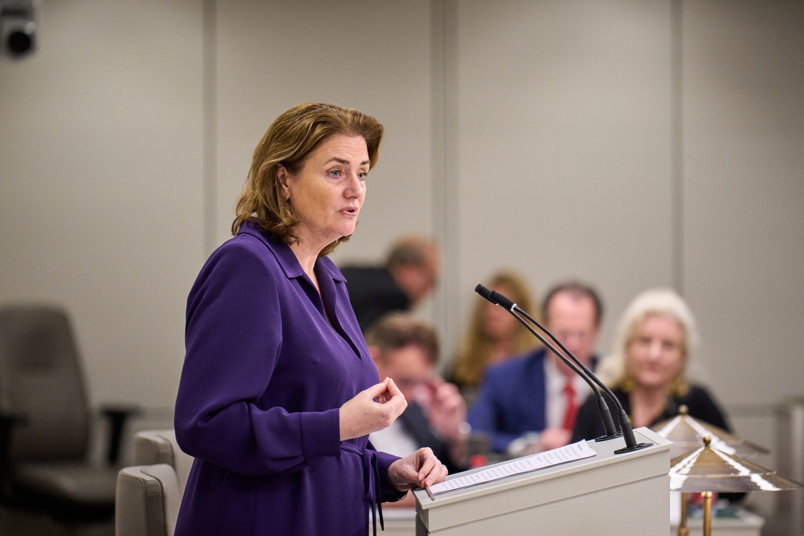 Eerste Kamer verwerpt Wet toezicht gelijke kansen bij werving en selectie