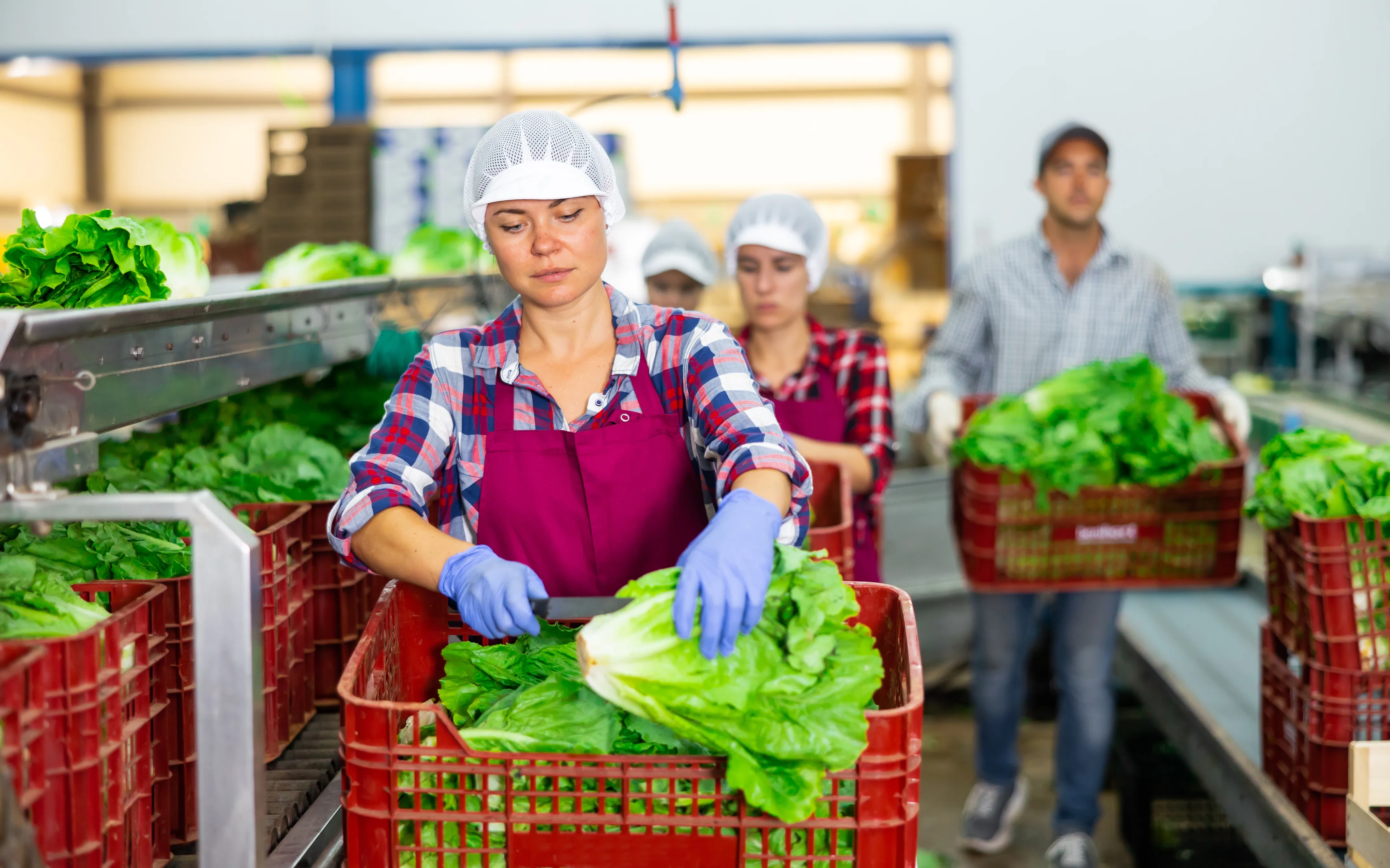 Foto: De persoon op deze foto is een model. Er bestaat geen verband tussen de persoon en de inhoud van dit artikel. Copyright: Shutterstock